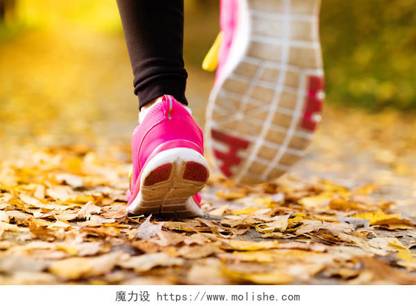 在秋天的落叶训练中运行一个跑步者脚的特写公园健身